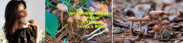 a pvp Горняк