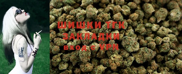 a pvp Горняк